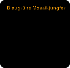 Blaugrüne Mosaikjungfer