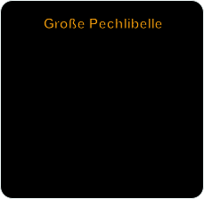 Große Pechlibelle